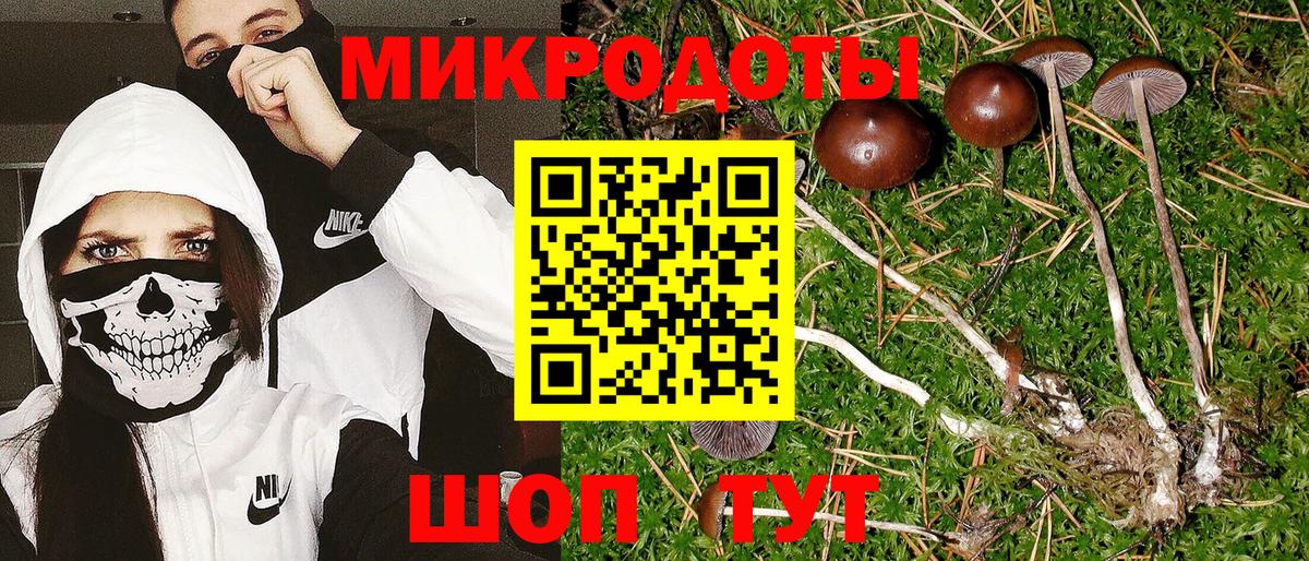 Псилоцибиновые грибы ЛСД Татарск