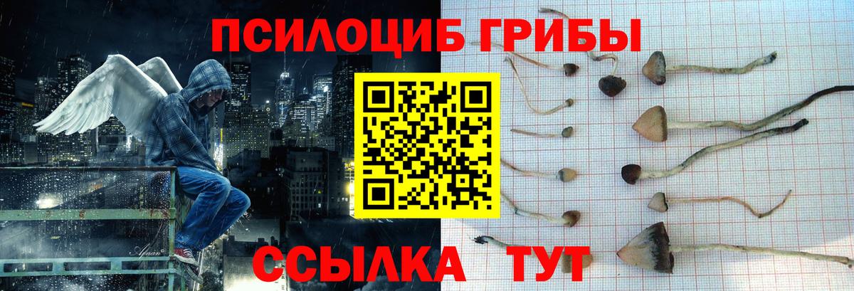 Псилоцибиновые грибы мухоморы  Вход с VPN  продажа наркотиков  Татарск 